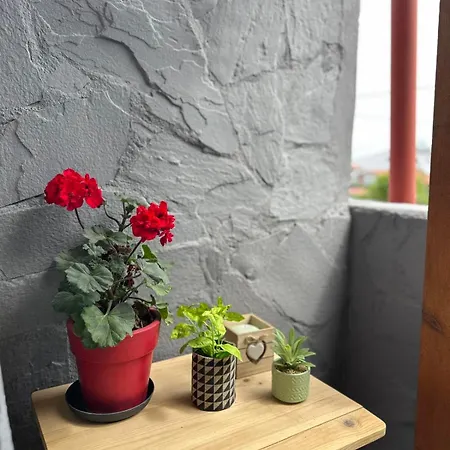 Cozy Urban Aura Ασπροβάλτα